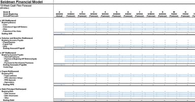 Cash Flow Forecasting and Modeling Template