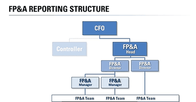 The Role of the FP&A Professional in Today’s Environment - Part 1