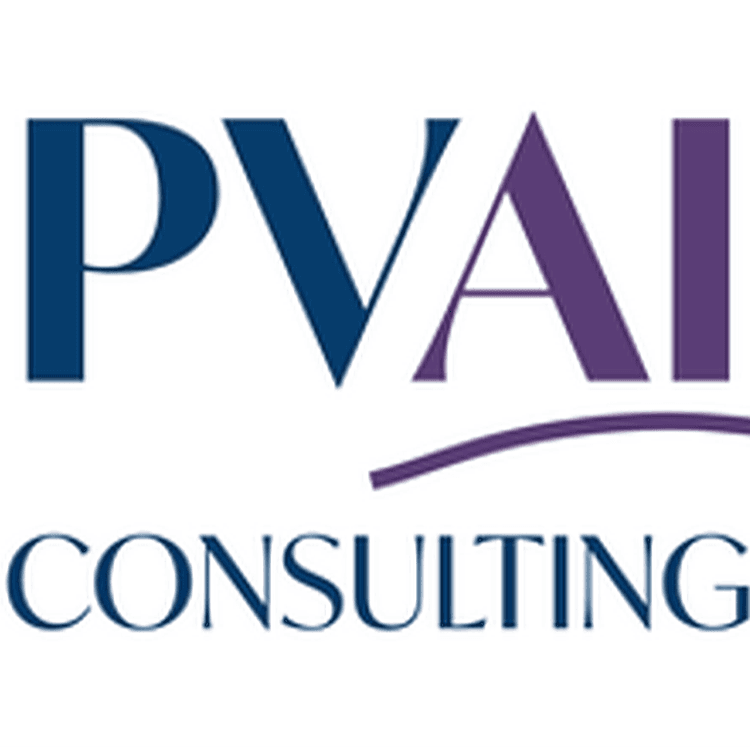 PVAI Consulting