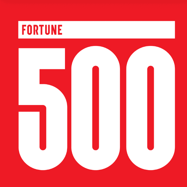 CEO of a Fortune 500