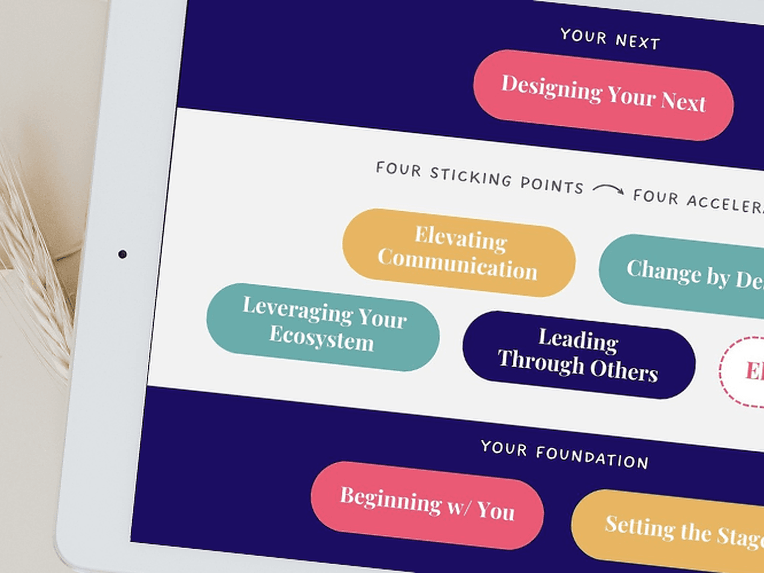 Best of both Self-paced and Cohort Learning