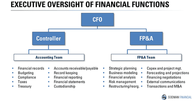 The Role of the FP&A Professional in Today’s Environment - Part 2